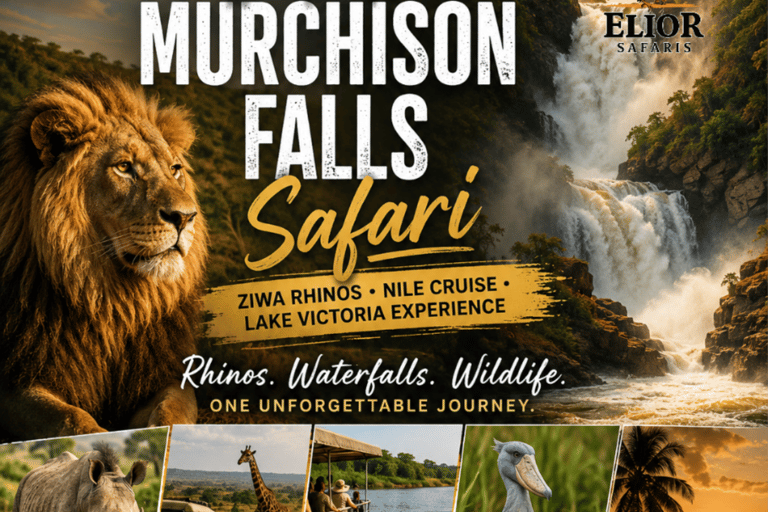 5-Day Murchison Falls Safari with Ziwa Rhinos