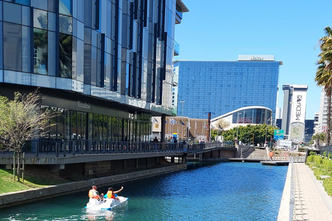 Pedal Boat Ride V&amp;A Waterfront - Cape Town