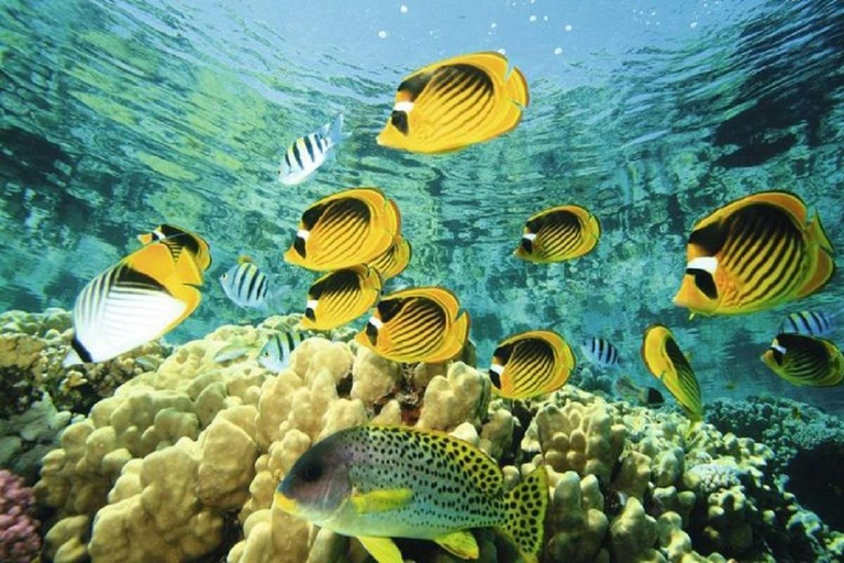 Mombasa: Full-Day Food and Culture Tour with Breakfast