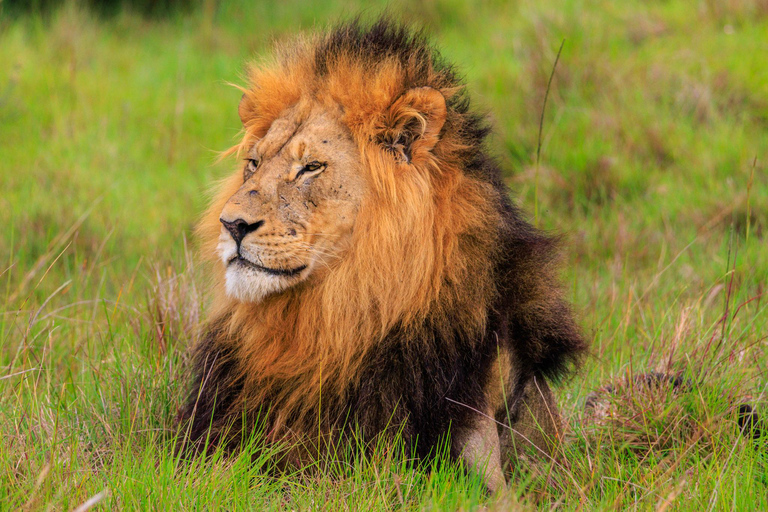 Namibia: 15 Days Guided Tour