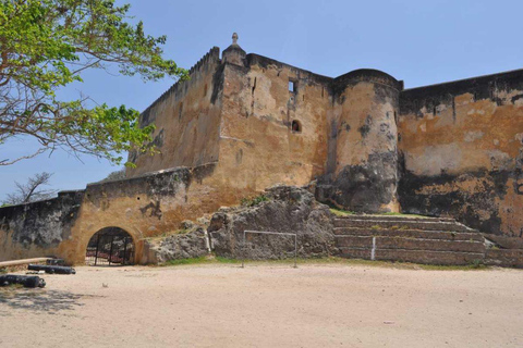 Tour di mezza giornata della città di Mombasa