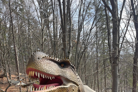 Sibiu: Excursión de un día al Castillo de Drácula y al Dino Parque