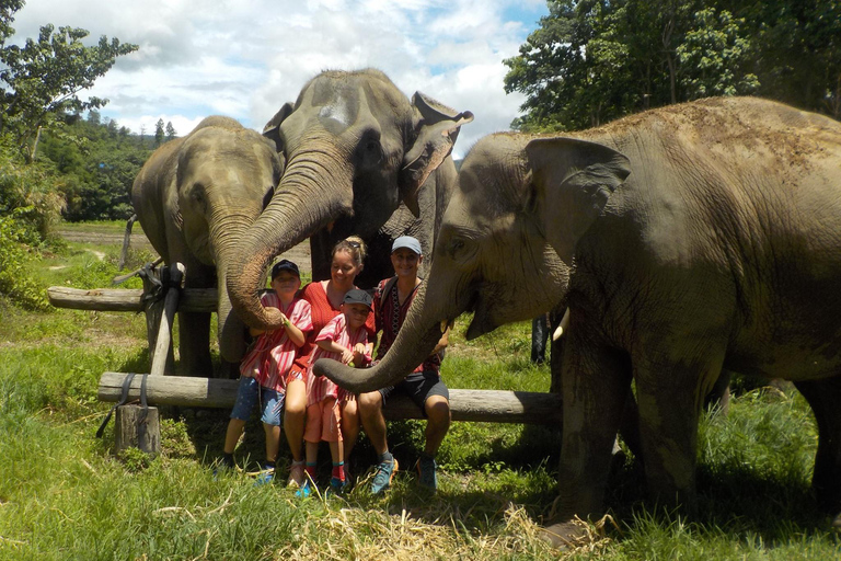 The Must-Do: Authentic Elephant & Village Life in Chiang Mai