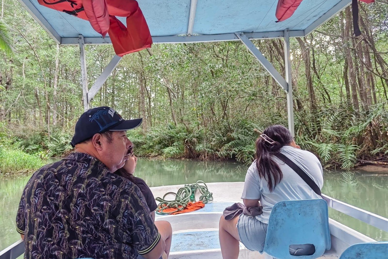 مانويل أنطونيو: جولة بالقارب بين أشجار المانغروف لمشاهدة الحيوانات