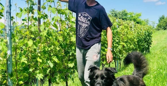 Near Asti and Turin: Winery Visit and Tasting of 4 Wines