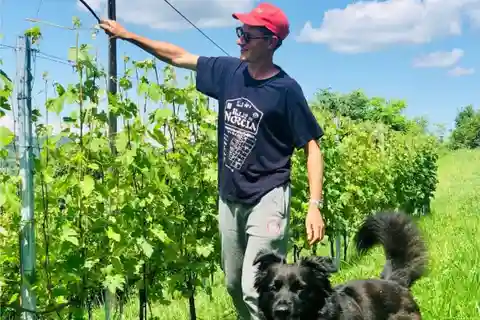 Prova de vinhos e visita a uma adega perto de Asti e Turim