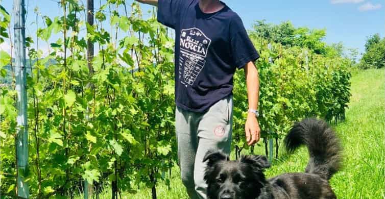 Albugnano: 4 wines