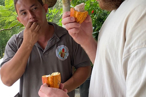 Medellín: Chocolate Farm Tour with Cocoa Exfoliation