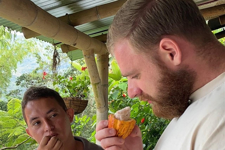 Medellín: Chocolate Farm Tour with Cocoa Exfoliation