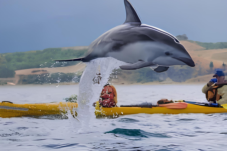 Private Kaikoura Whale Watching Day Trip from Christchurch