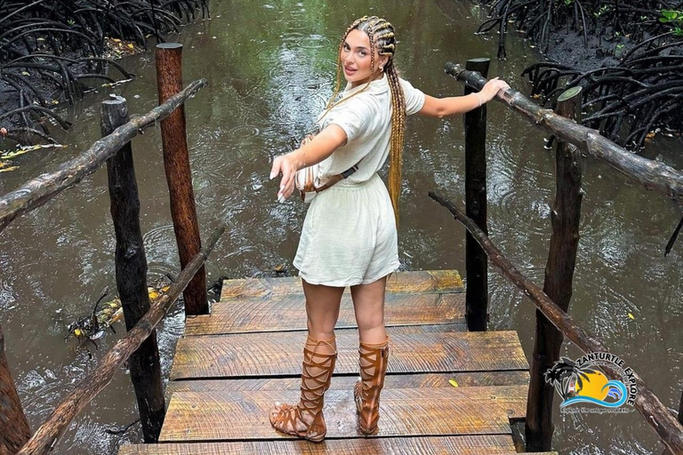 Wycieczka z delfinami Mnemba, las Jozani i restauracja The RockMiejsce zbiórki wyłącznie w Mnemba Transfer Point