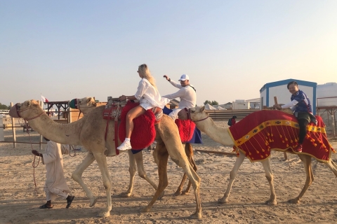 Safari na pustyni w Doha i atrakcja miasta: całodniowa prywatna wycieczkaDoha: eksploracja miasta i pustynne safari – cały dzień