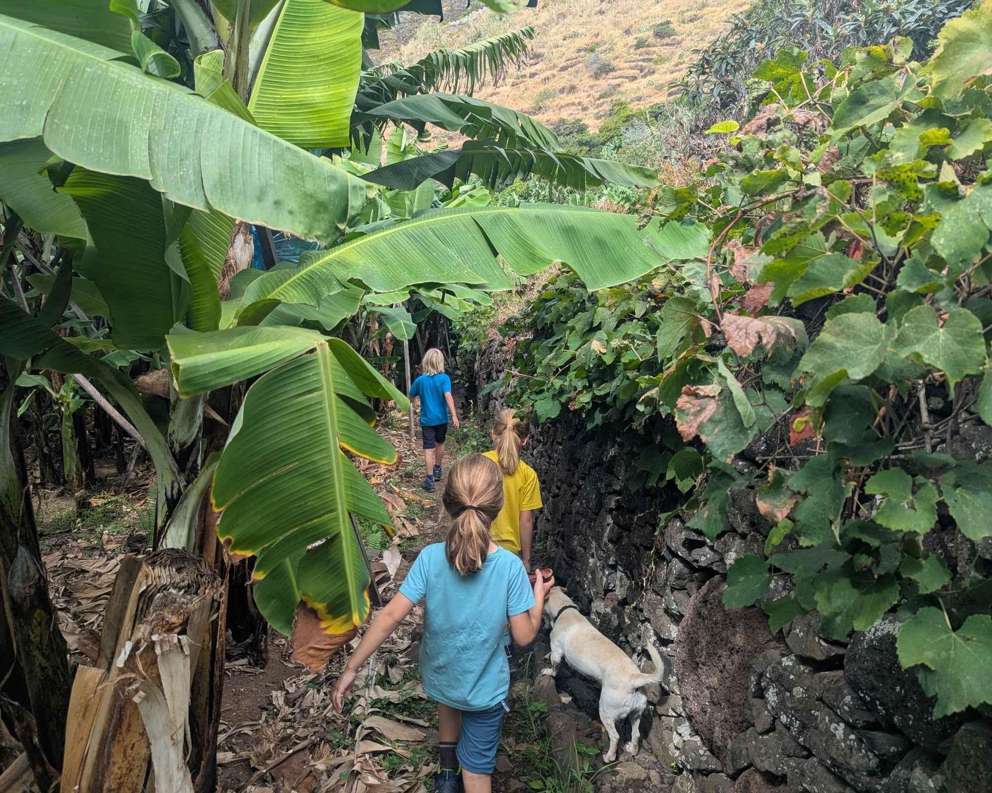 Madeira: Mandala Banana Workshop für Kinder