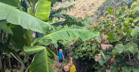 Madeira: Mandala Banana Workshop for Kids