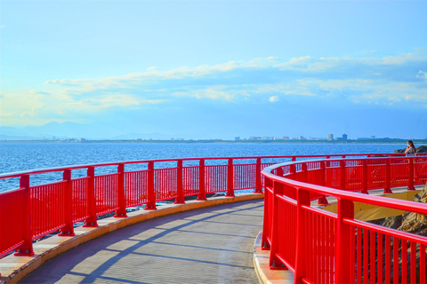 Tokyo Yokohama Night View Tour With Kamakura And Enoshima