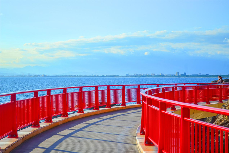 Tokyo Yokohama Night View Tour With Kamakura And Enoshima