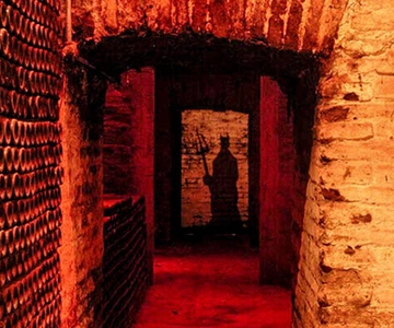 Santiago: Concha y Toro Vineyard Premium Tour