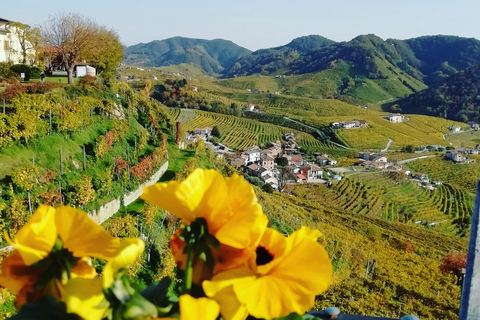 Prosecco : visite et dégustation de vins sur les collines de l'Unesco