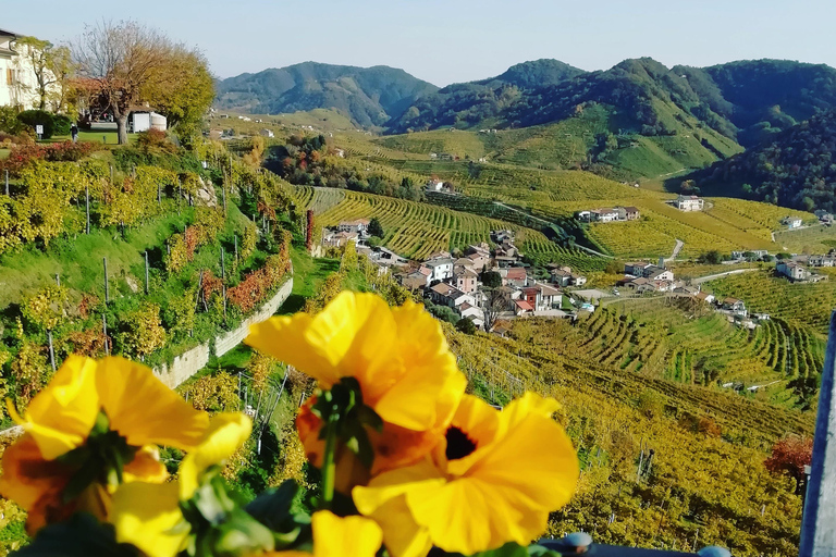 Prosecco: Wine tour & tasting along the Unesco hills