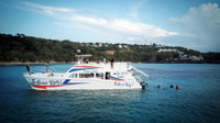 Sosua Sunset Party Boat e Snorkeling - Housity
