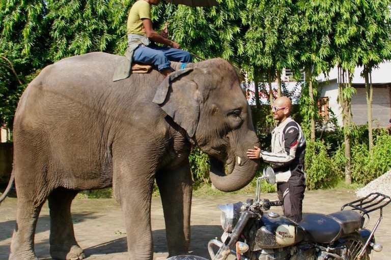Kathmandu: 3-Day Guided Motorbike Tour to Pokhara & Chitwan Full package Inclusive with no hidden cost