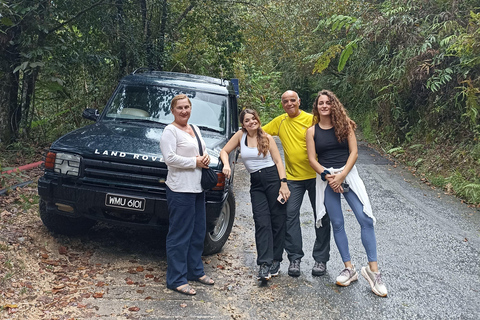 Private Guided Mossy Forest Tour & Malaysia Transfer