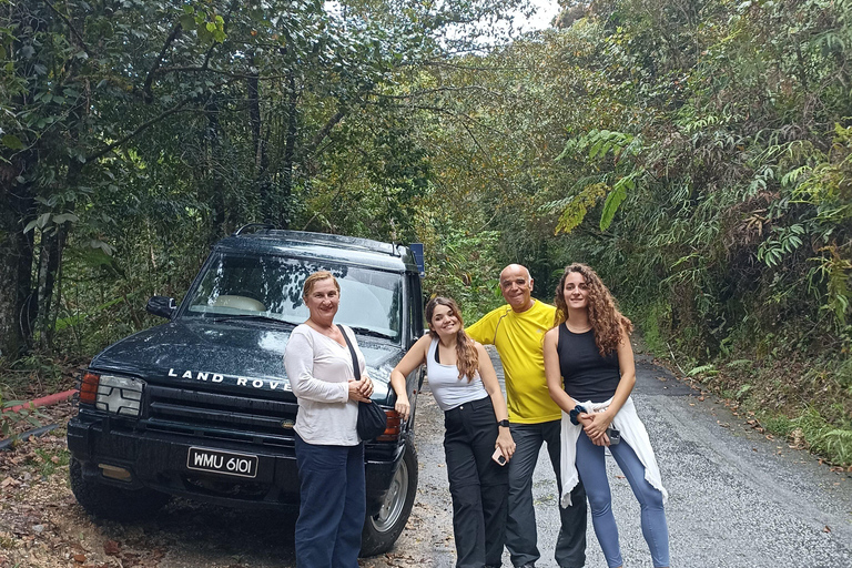 Private Guided Mossy Forest Tour & Malaysia Transfer
