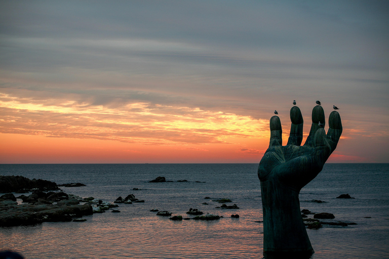 From Busan: Private Pohang Day Trip with Hotel Pickup From Busan: Private Pohang Day Trip (Driver Only)