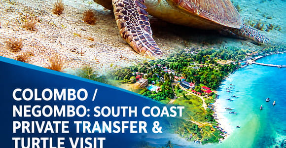 Colombo/Negombo: South Coast Private Transfer & Turtle Visit