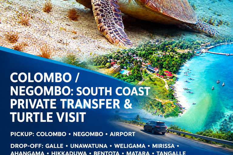 Colombo/Negombo: South Coast Private Transfer & Turtle Visit 3 Person Only