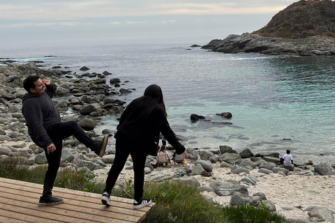 From Santiago: Papudo Horseback Ride & Penguin Watching