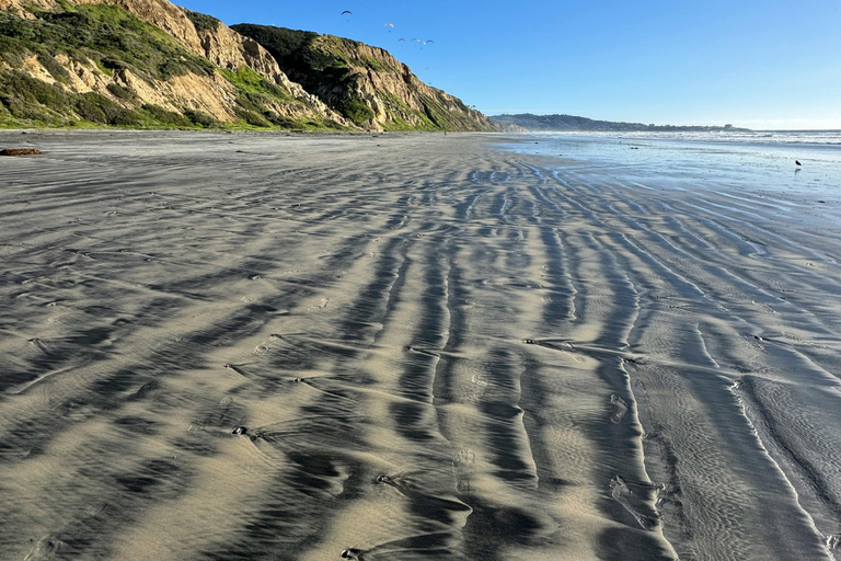 San Diego Torrey Pines Guided Hike and Picnic Private Tour
