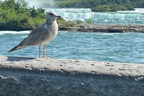 Walking Tour of Niagara Falls Canada and Hornblower Boat