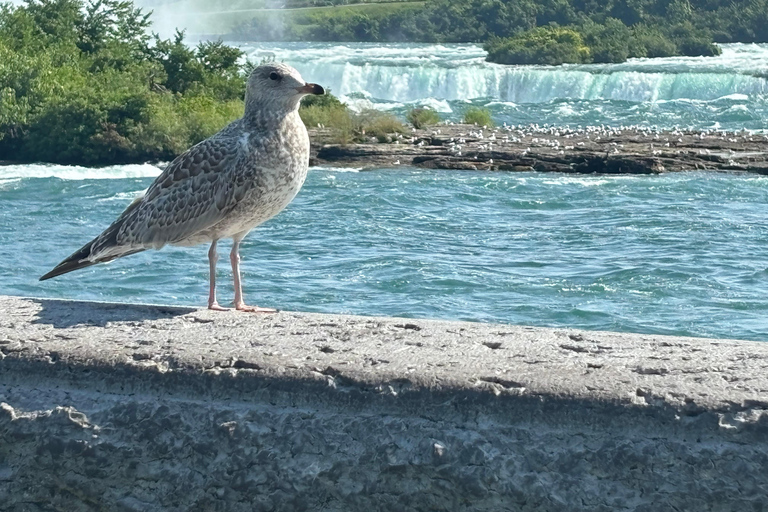 Walking Tour of Niagara Falls Canada and Hornblower Boat