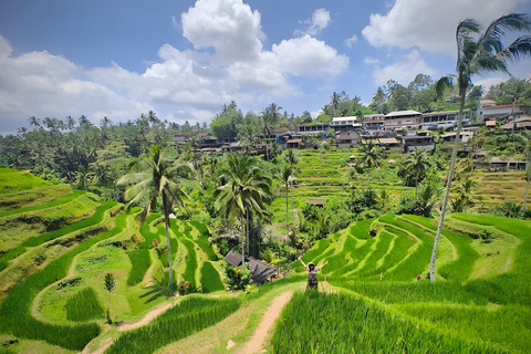 Ubud Half-Day Highlights Tour with Flexible Midday Pickup