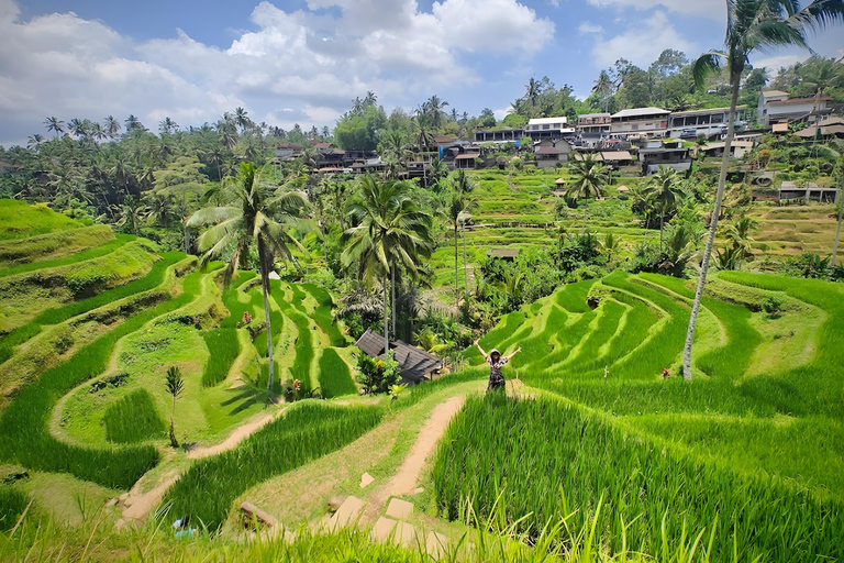 Ubud Half-Day Highlights Tour with Flexible Midday Pickup