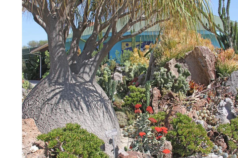 Billets d&#039;entrée au jardin botanique de San Diego et transport