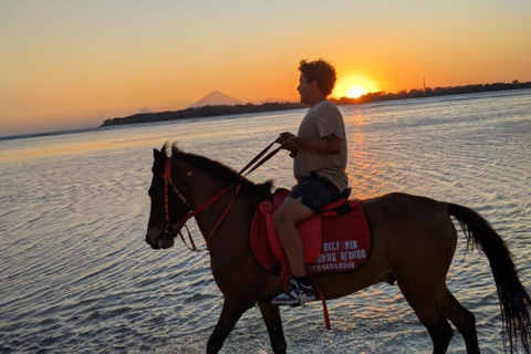 Gili Air: 1 uur paardrijden met hotel transfer