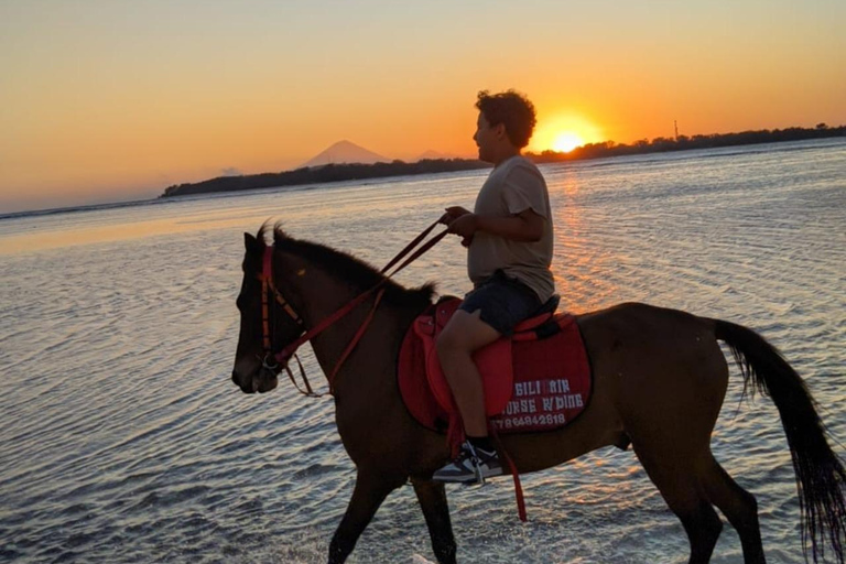 Gili Air: 1 ora di equitazione con trasferimento in hotel