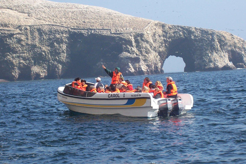 Från Lima: 2 dagar Paracas Ica Huacachina och vingårdar