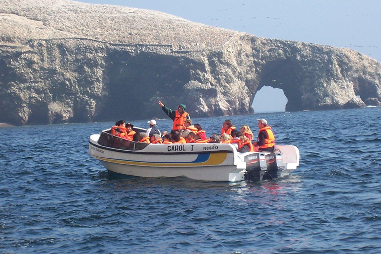 Depuis Lima : 2 jours Paracas Ica Huacachina et vignobles