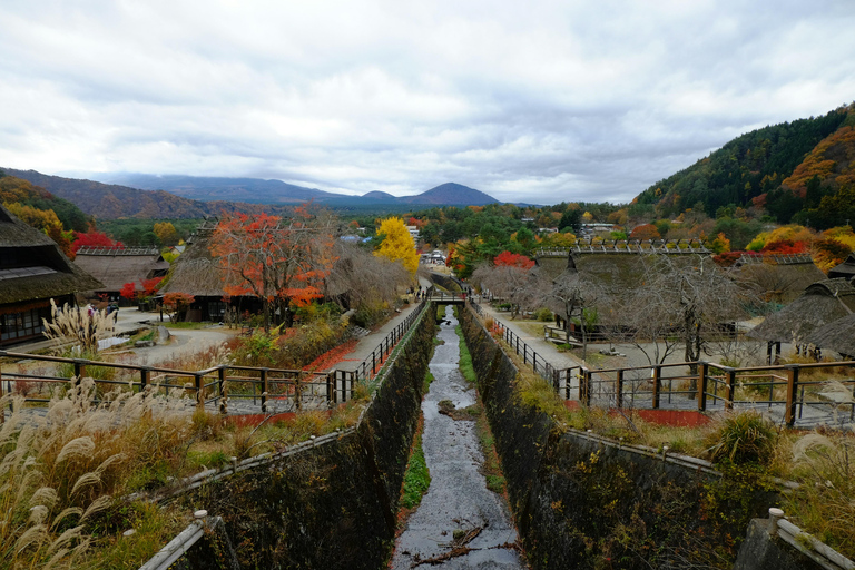طوكيو: جولة خاصة قابلة للتخصيص ليوم كامل في جبل فوجي