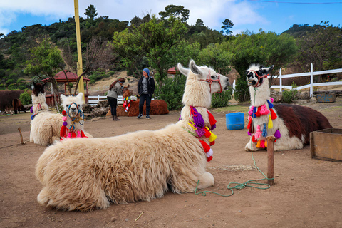 Depuis le Guatemala - Laguna Brava - Mirador Juan Dieguez - Laguna Magdalena