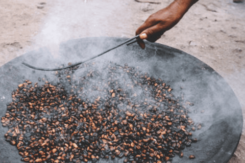Addis Ababa: 9-Day Coffee Plantation Tour with Lodging