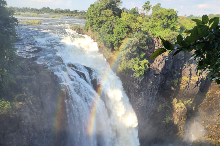 Victoria Falls: Private tour with optional helicopter flight