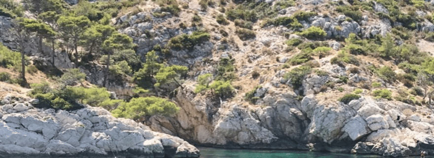 La Ciotat : tour en bateau dans les Calanques avec baignade