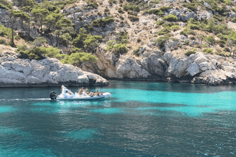 La Ciotat: Boat Tour in the Calanques with swimming