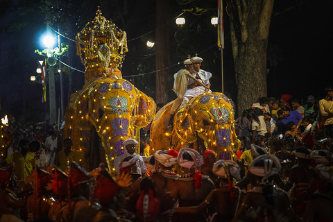 From Colombo: 2-Day Curated Kandy Esala Perahera Experience