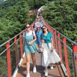Seul: tour della DMZ, Terzo Tunnel, Ponte Sospeso e disertore nordcoreano