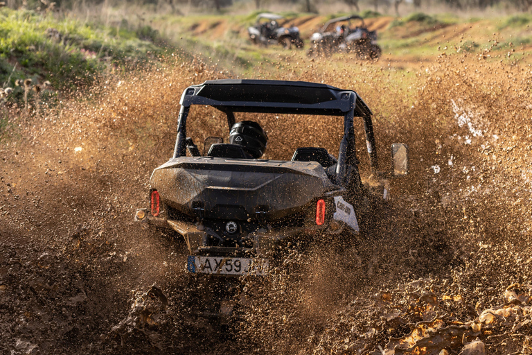 cross country Buggy 4 seats - Tour Without Pickup